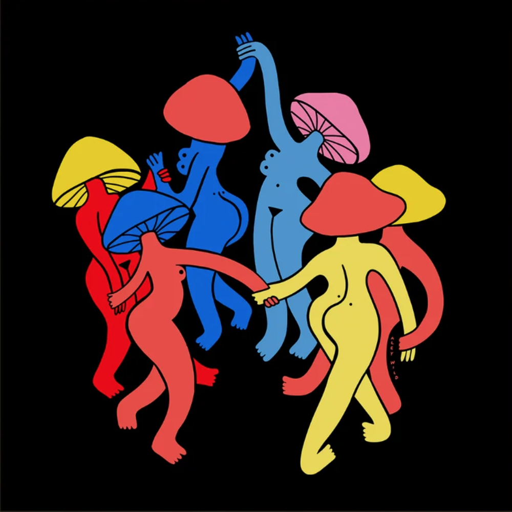 Aley Wild 'Mushrooms At Midnight' Print Available