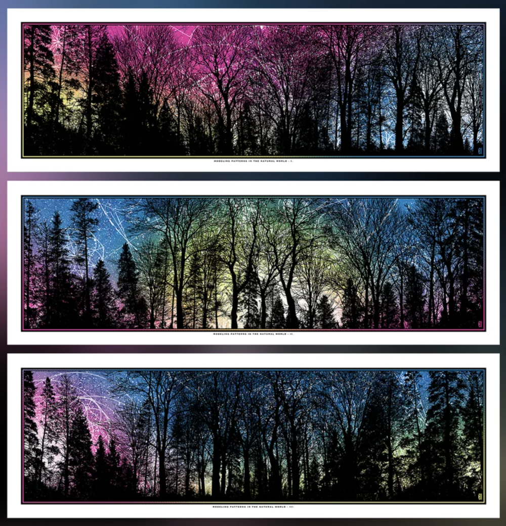 Dan McCarthy 'Modeling Patterns In The Natural World 1, 2 &amp; 3' Prints Available
