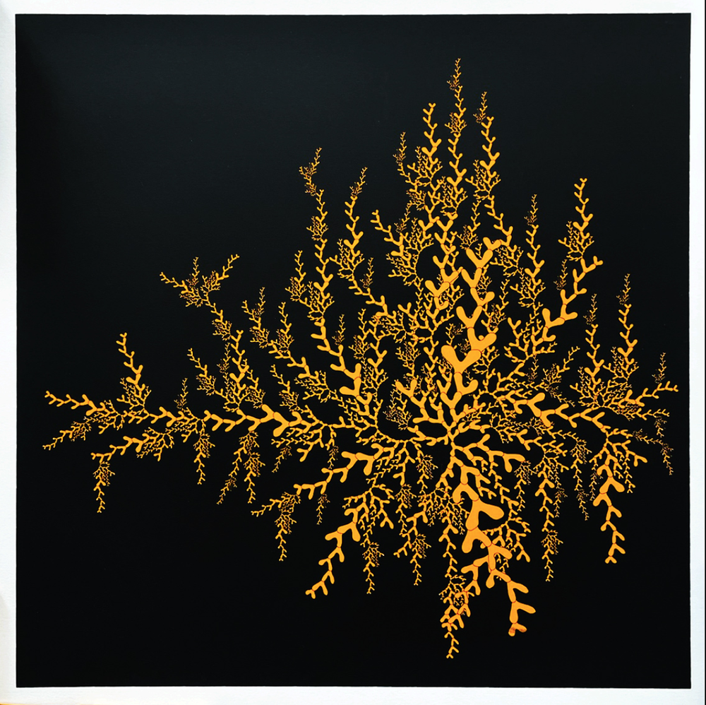 Linjer 'Coral' Prints Release Details