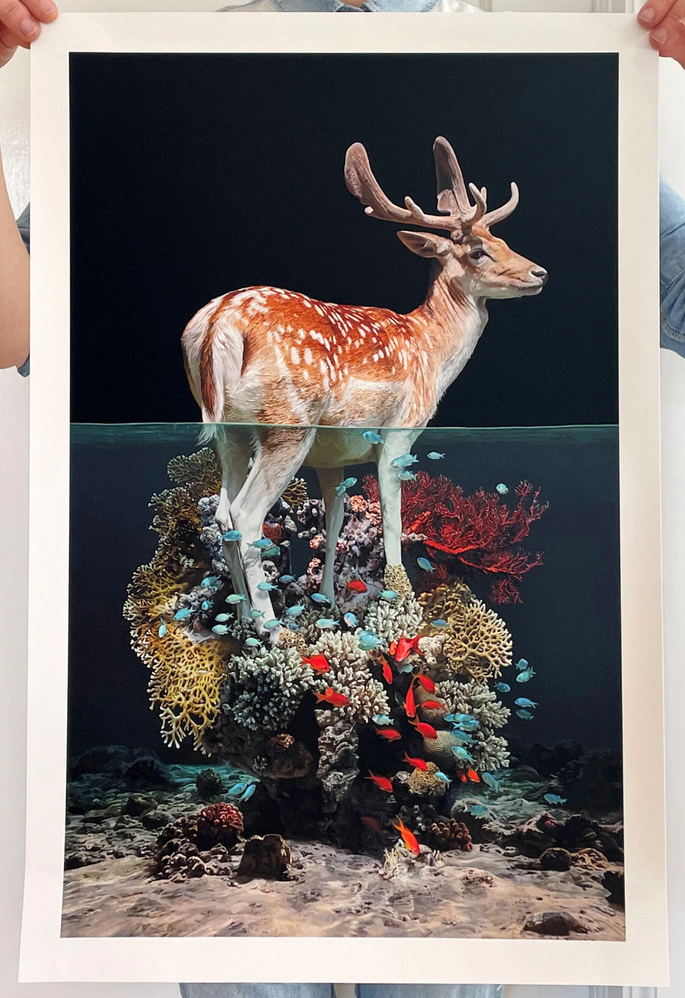 Lisa Ericson 'High Tide' Print Available