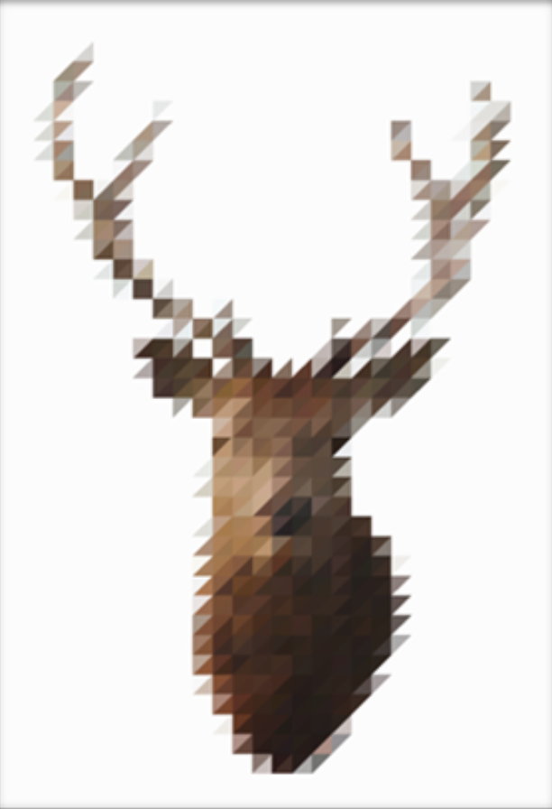 Victor Van Gaasbeek 'Stag' Print Available