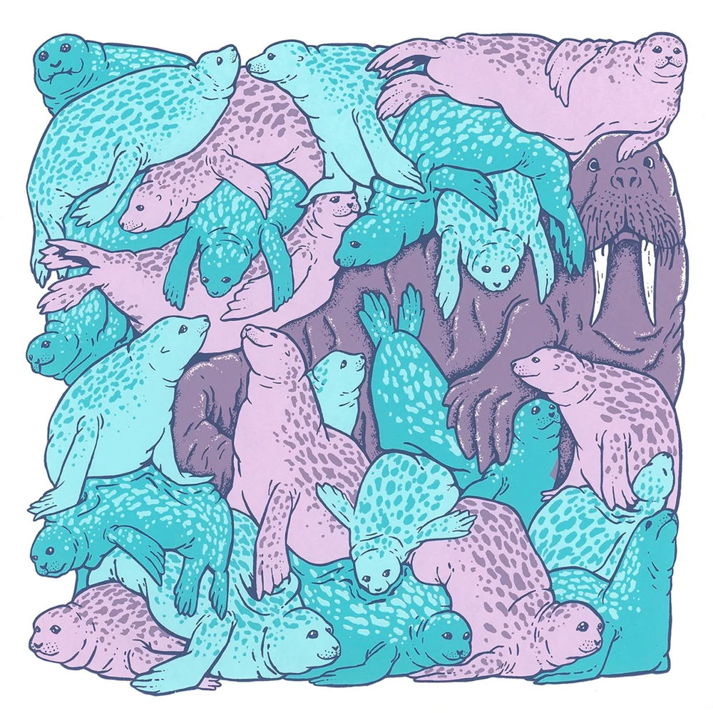 Abbas Husain 'Pinnipile' Print Available