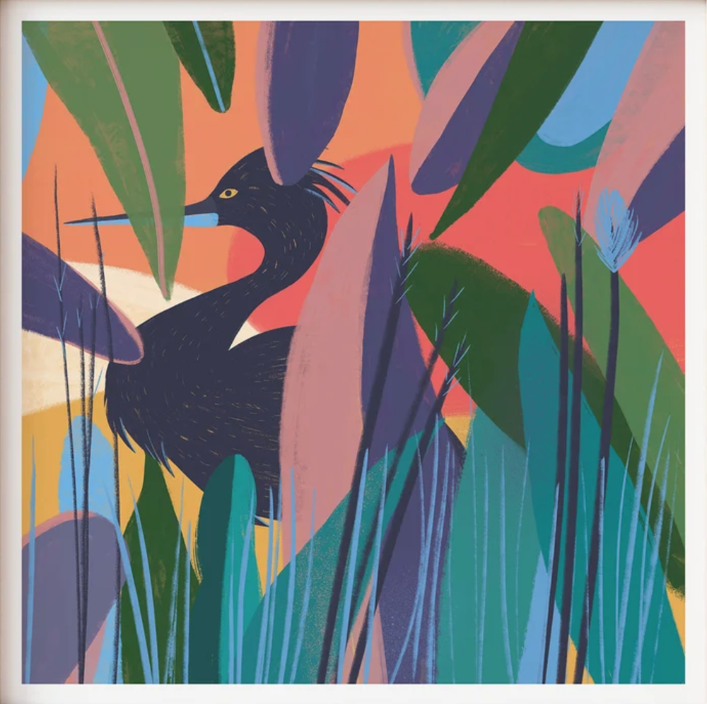 Milka Steciak 'Comorant' Print Available