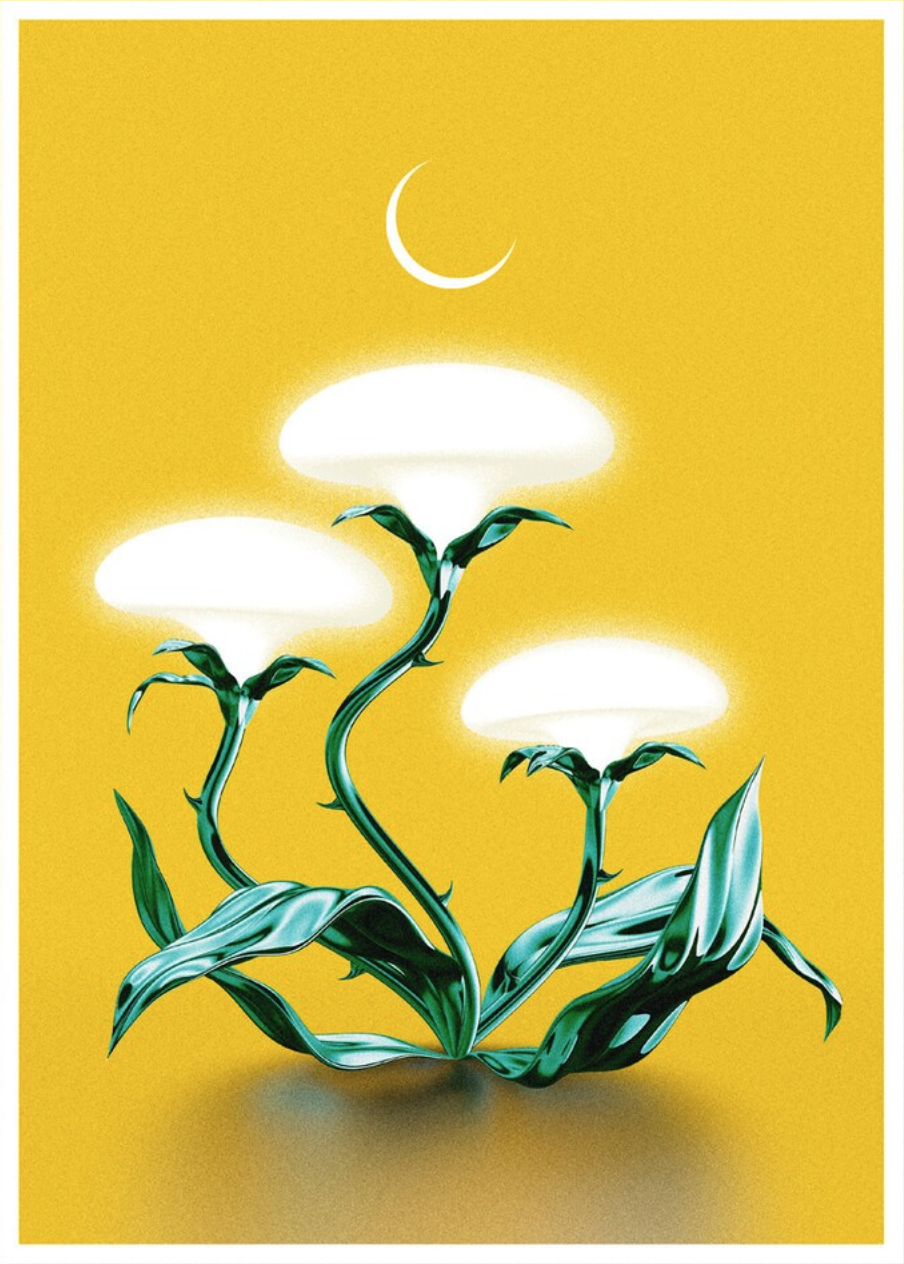 Maarten Huizing 'Radiant Plantlife Moon' Print Available