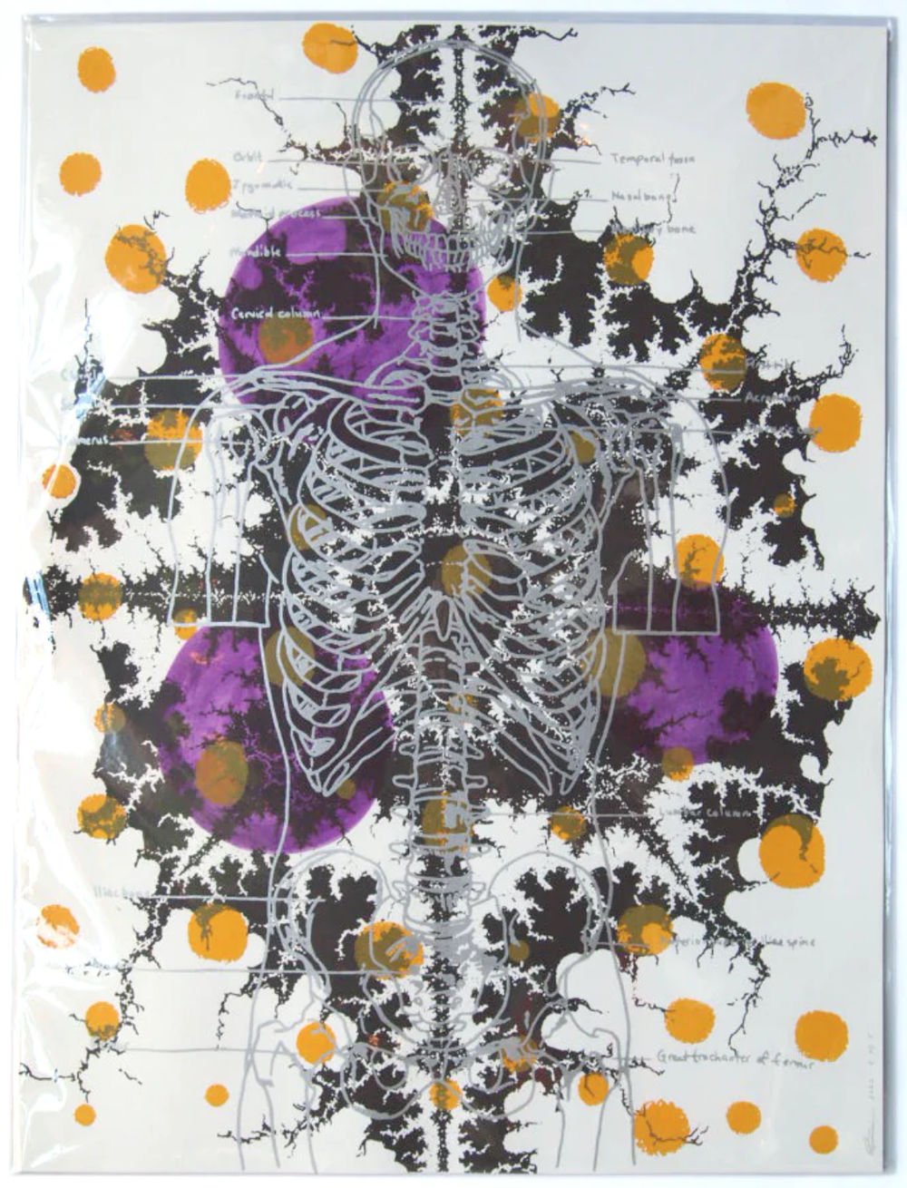 Better Than Jams 'Silver Skeleton With Ochre' Print Available