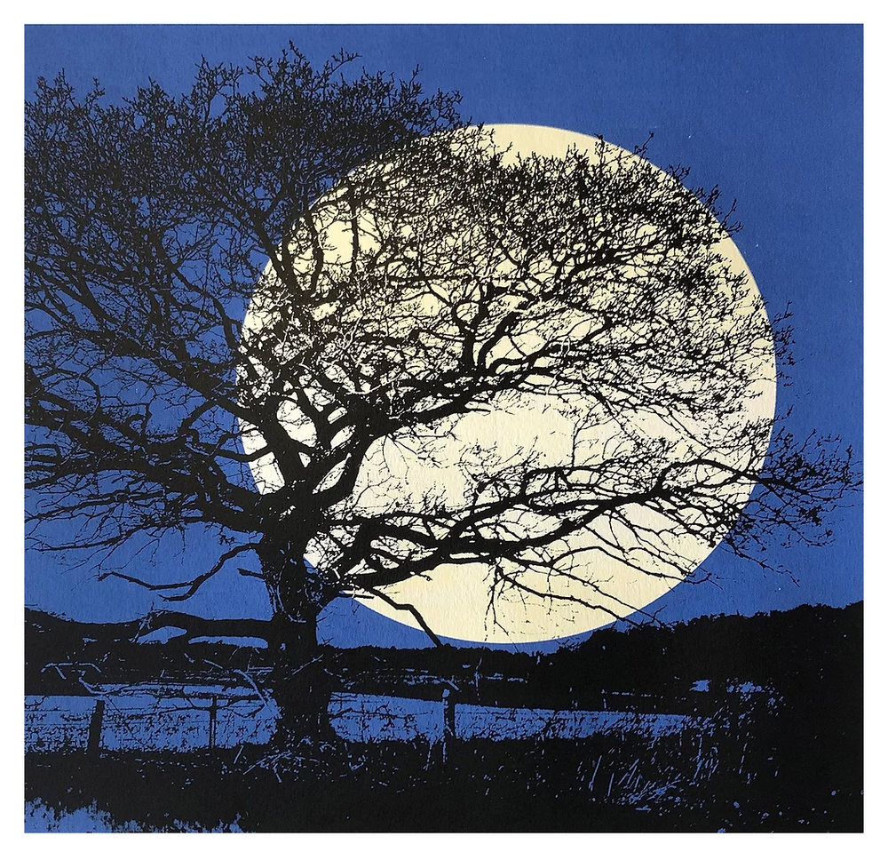 Lucy Cooper 'Silent Night' Print Available