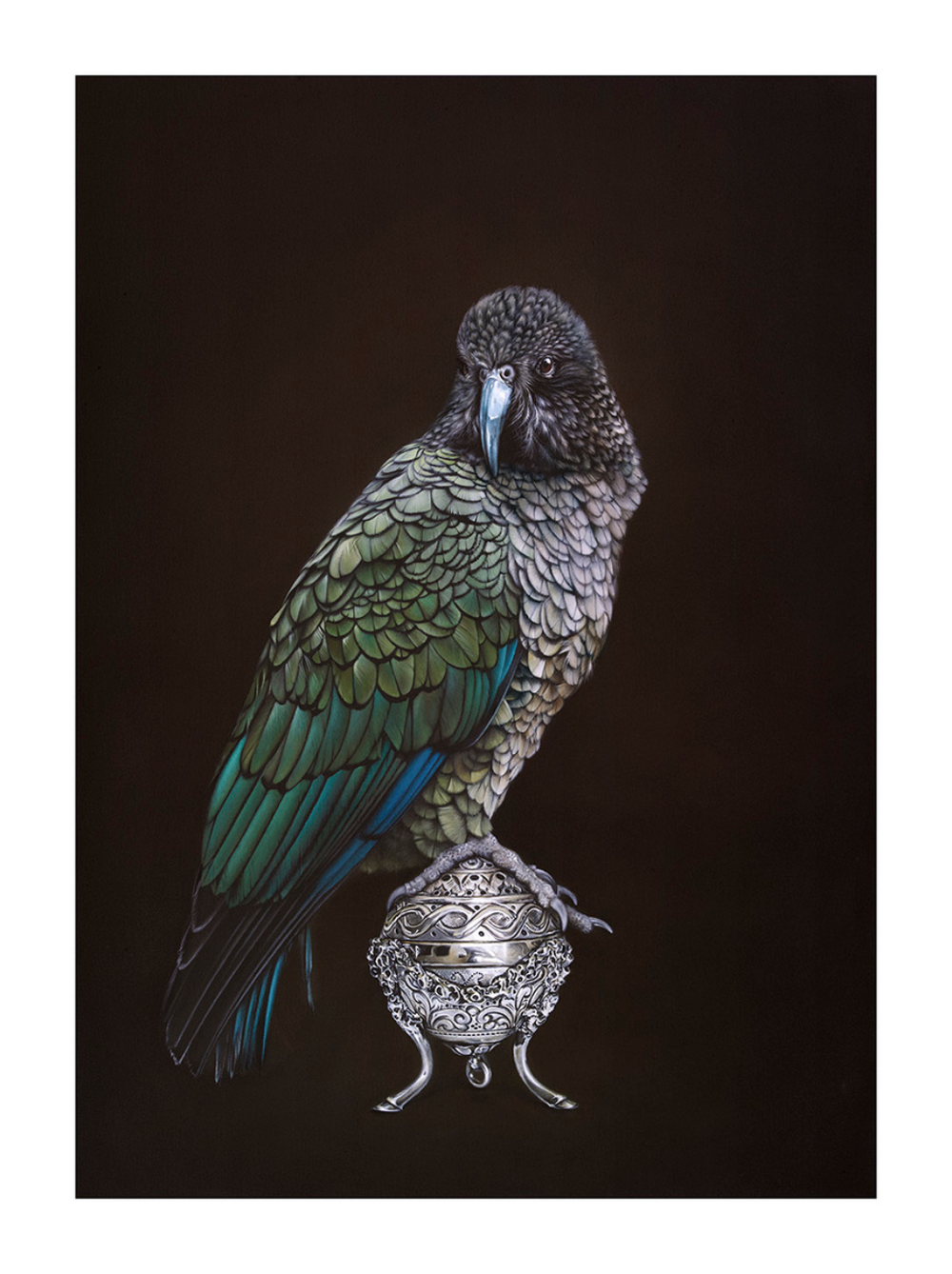 Jane Crisp 'Kea On Vessel' Print Available