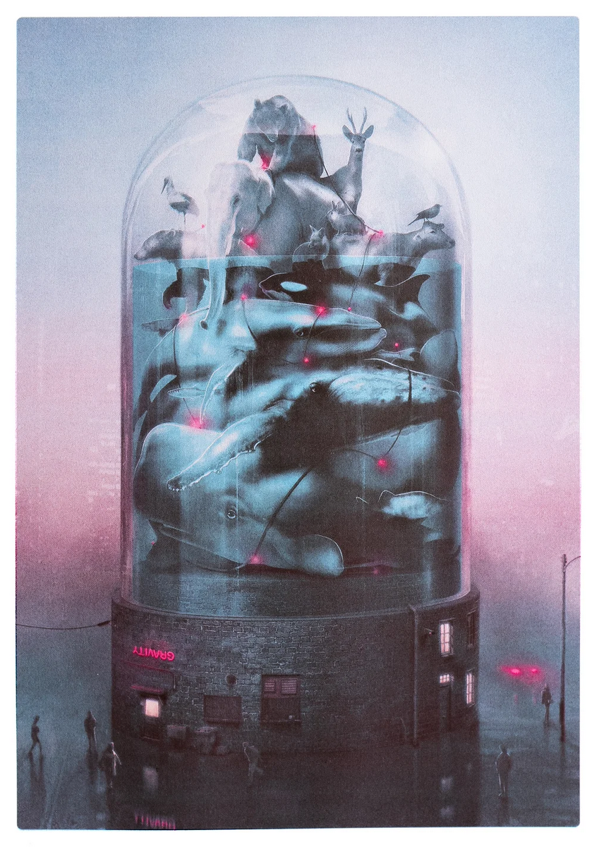 Nevercrew 'Gravity Fault' Print Available