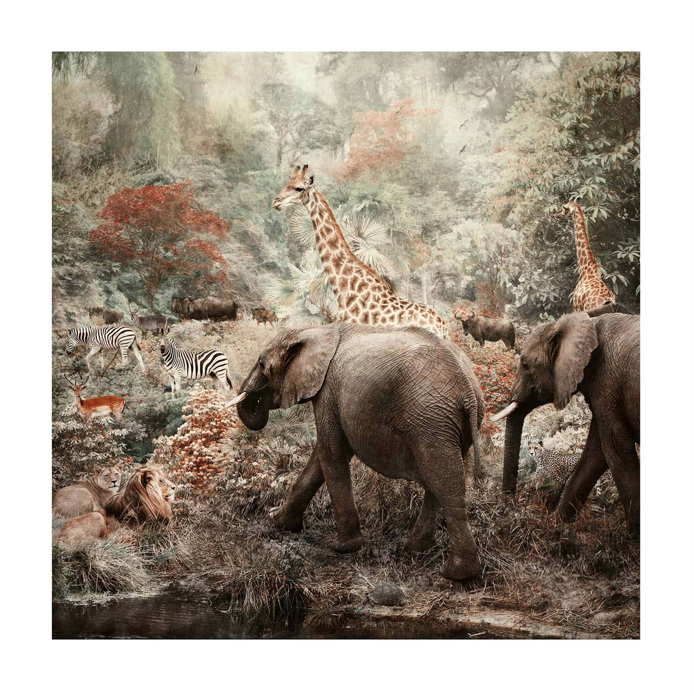 Nadia Attura 'The Water Hole' Print Available