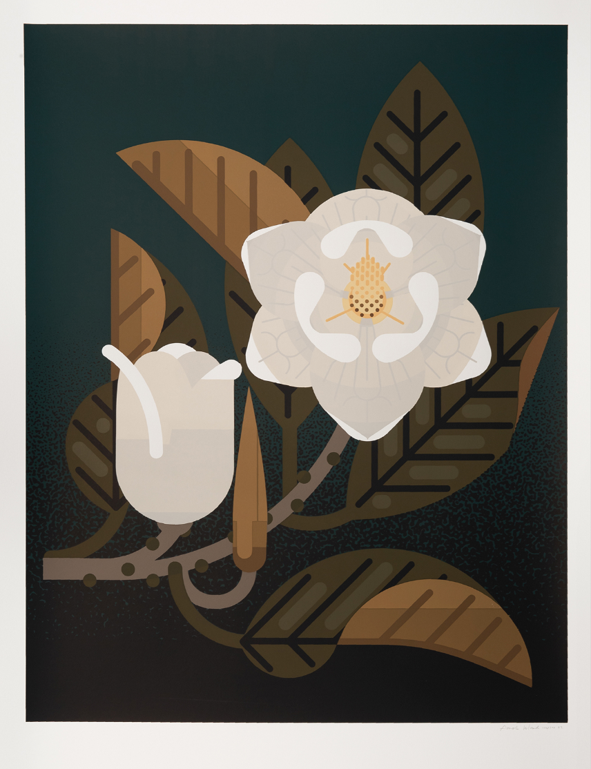 Amok Island 'Magnolia' Print Available