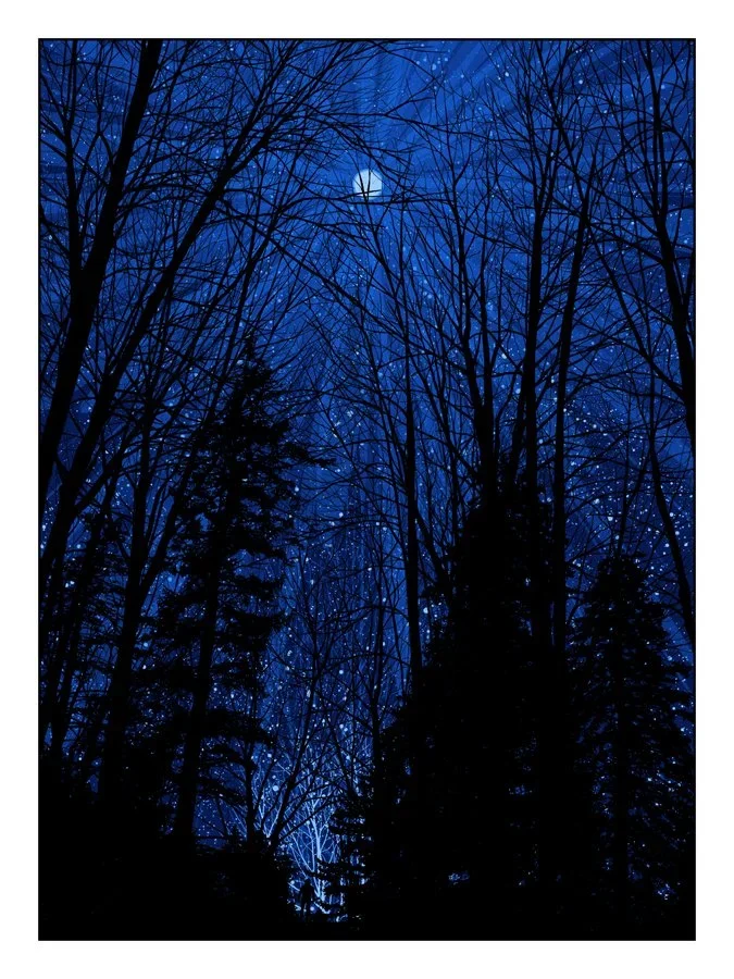 Dan McCarthy 'Cold Moon' Print Available