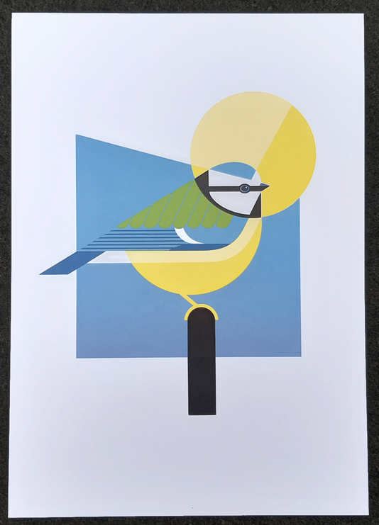 Julia Allum 'Blue Tit' + 'Blackbird' Prints Available