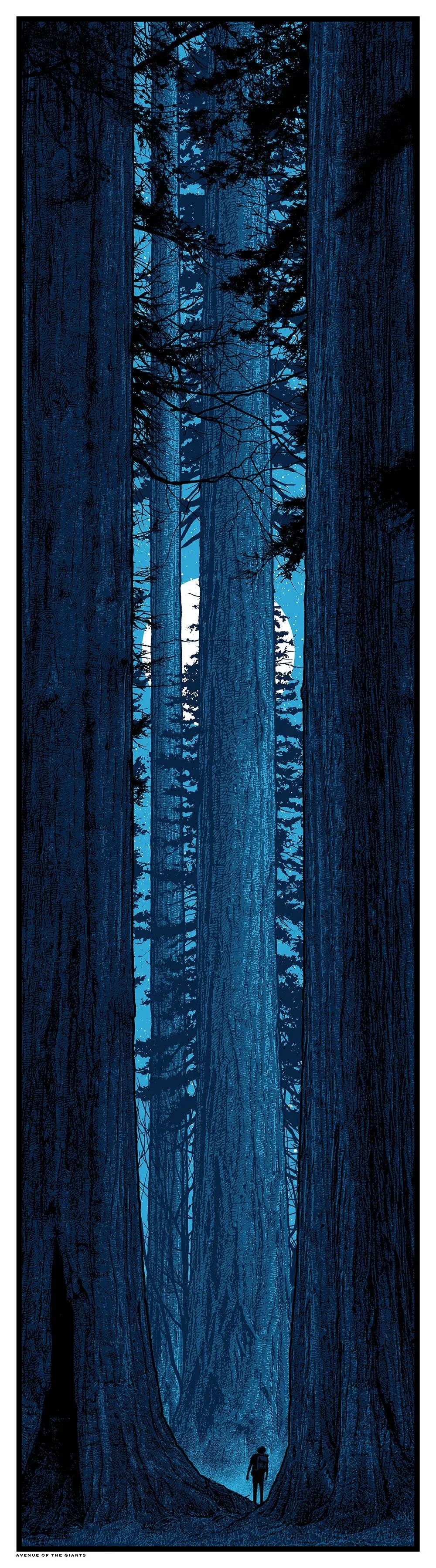 Dan McCarthy 'Avenue Of The Giants' Prints Available