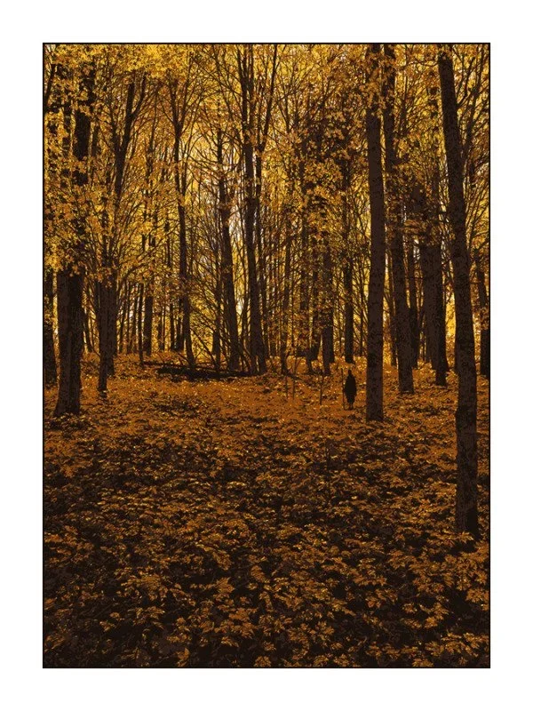 Dan McCarthy 'Elder Days' Print Available