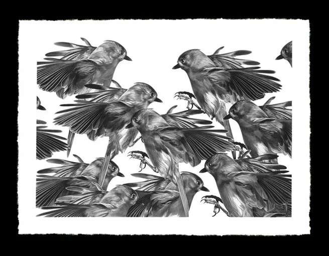 Christina Empedocles 'Landing' Print Available