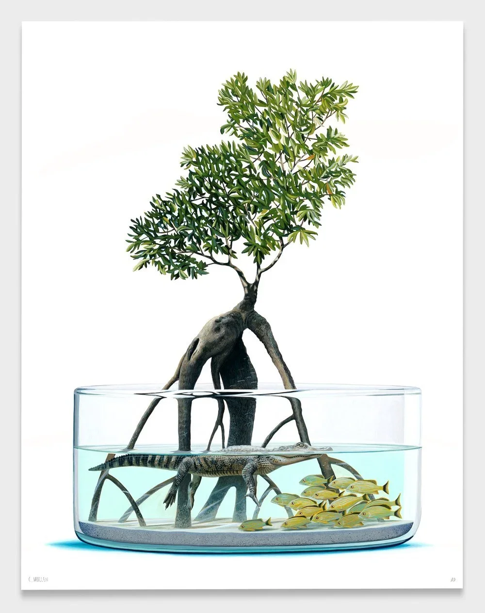 Chase Mullen 'Grove' Print Available