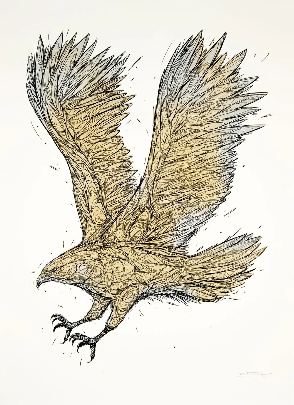 Dzia 'Golden Eagle' Print Available