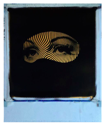 Andrew J Millar 'Nothing To Hide' Print Available