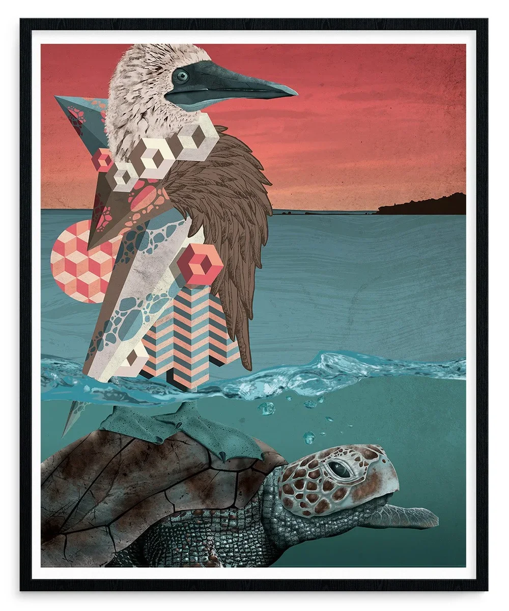 Birdo 'Staying Afloat' Print Available