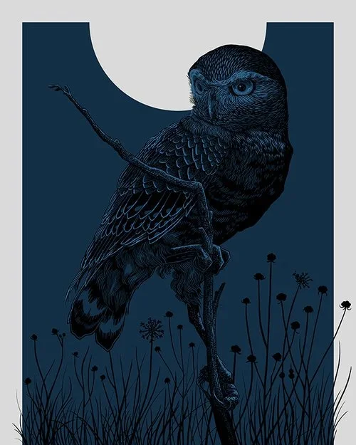 John Vogl 'Burrowing Owl' Midnight + Sunrise Prints Available