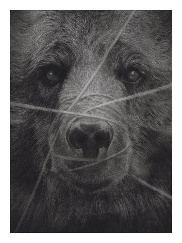 Randy Ortiz 'Disingenuous Backpedalling...' Print Available