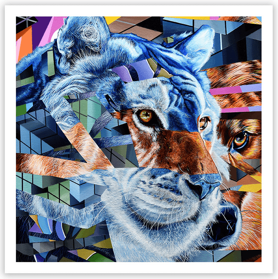 Juan Travieso 'Expiring 6' Print Available