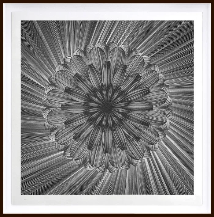 Kai And Sunny 'Flower' Print Release Details