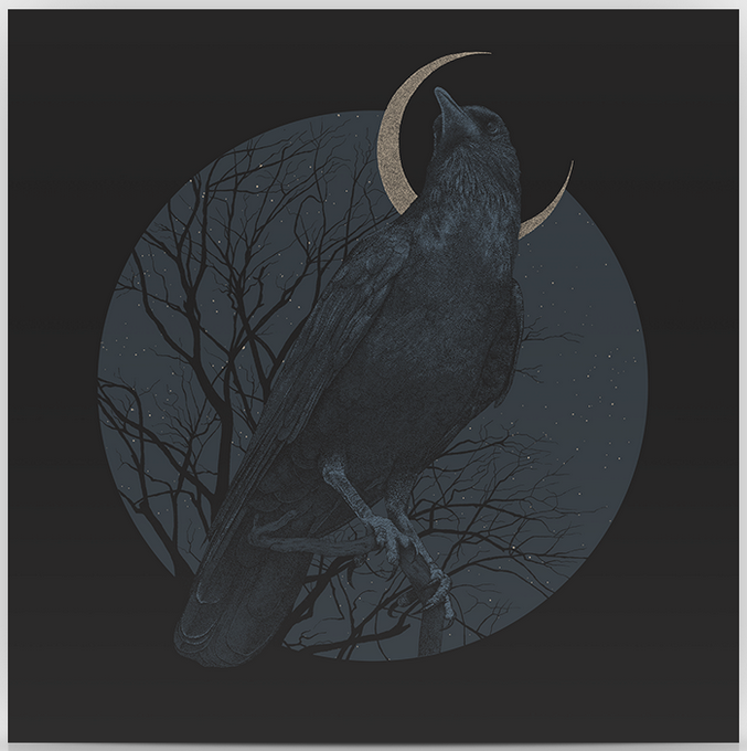 Rich Knepprath 'Feather, Crescent, Talon + Star' Print Available