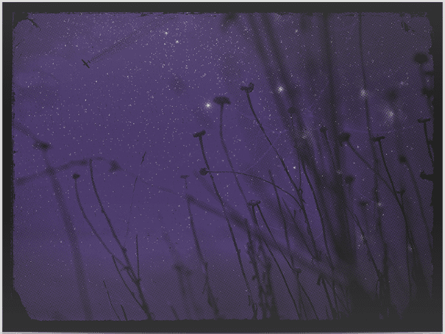 Rich Knepprath 'I Saw In My Dream Both Beauty And Dispair' Print Available