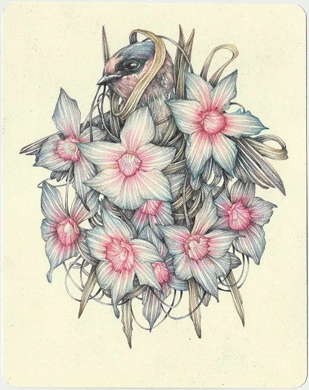 Marco Mazzoni 'The Immodest' Original Available