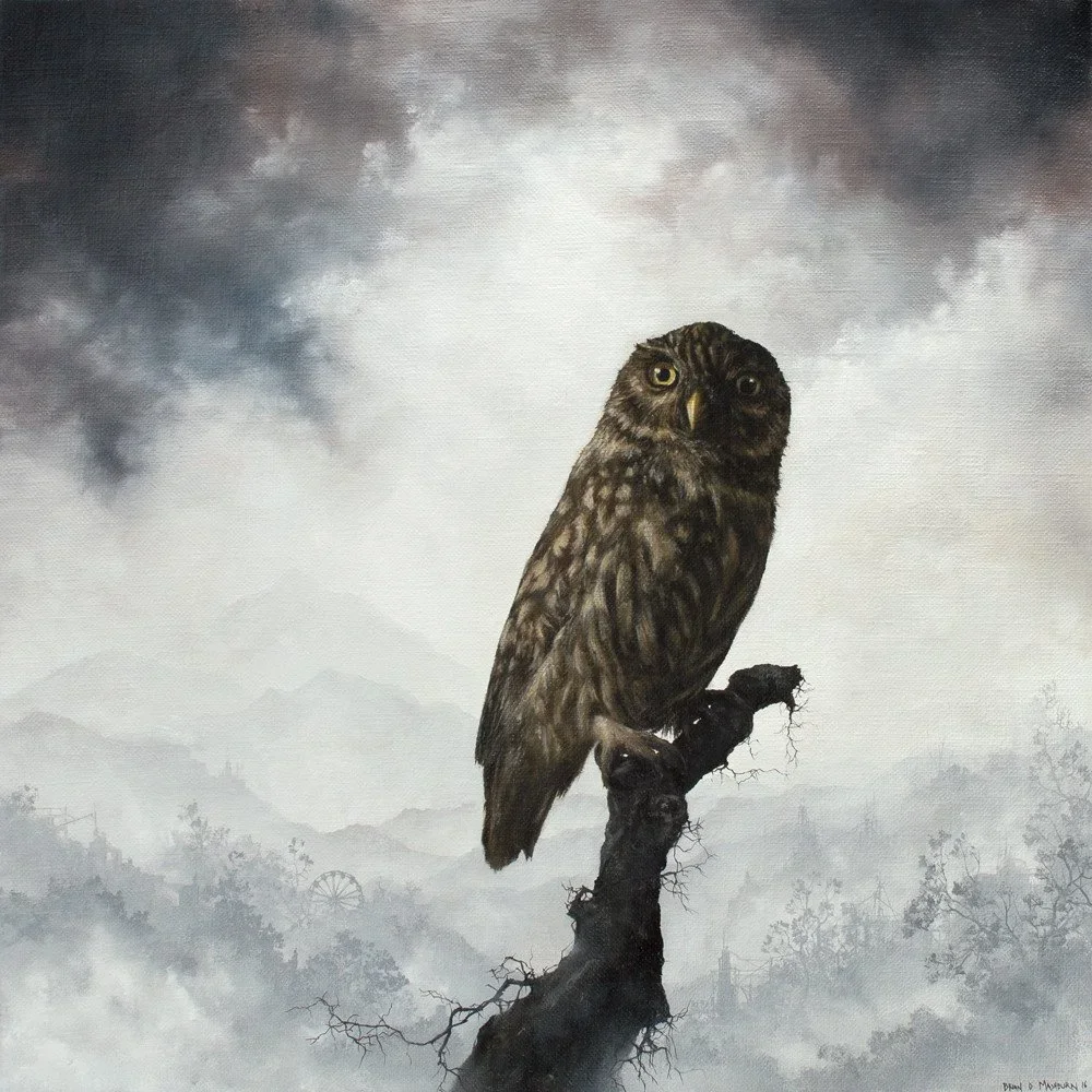 Brian Mashburn 'Little Owl' Original Available