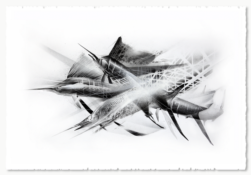 Li-Hill 'Caught In The Net' Print Available