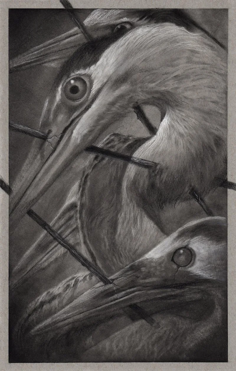 Randy Ortiz 'Ardeidae' Print Release Details