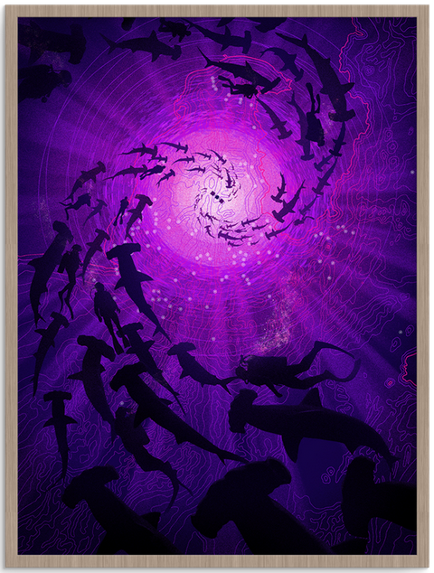 Marko Manev 'Rising Hammerheads' Prints Available