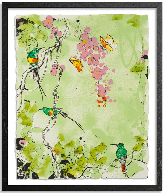 Xenz 'Beautiful Sunbirds' Green Print Available