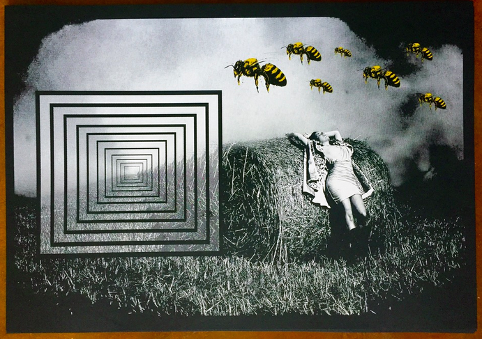 Jason Erwin 'Beauty And The Bees' Print Available