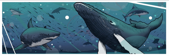 Jared Wright 'The Ocean' Print Available