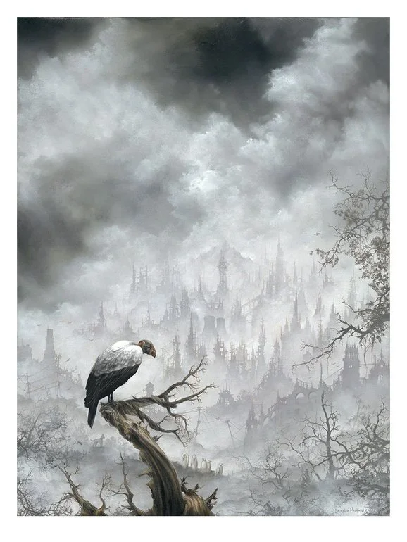 Brian Mashburn 'King Vulture' Print Available