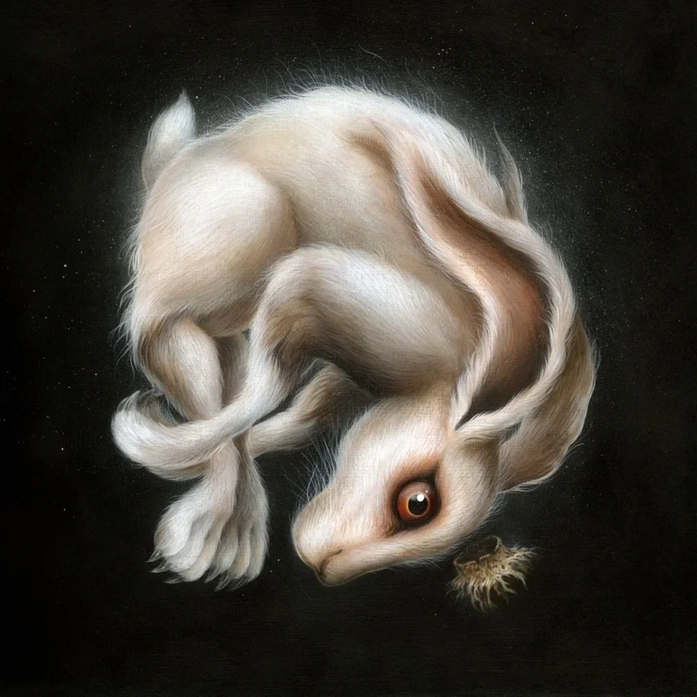 Dan May 'Fall From Grace' Print Release Details