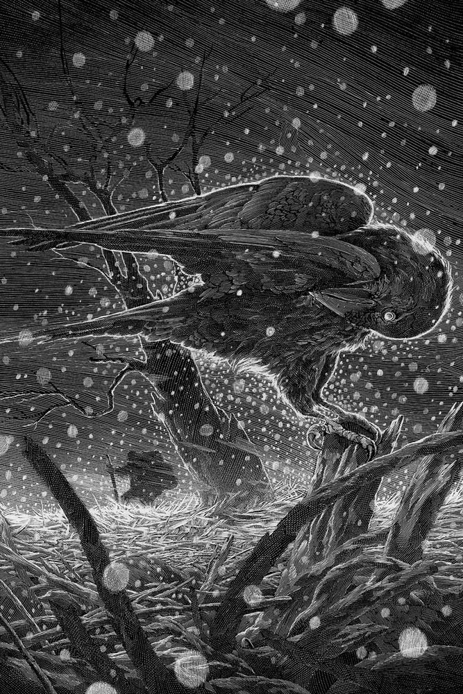 Nicolas Delort 'Winterreise' Print Available