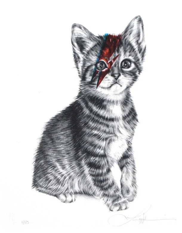 Langley Fox 'Kitty Stardust' Print Available