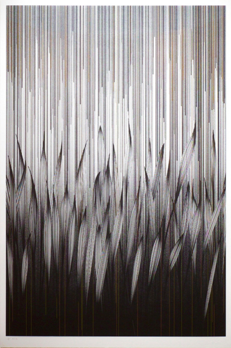 Kai &amp; Sunny 'Falling Reeds' Print Available