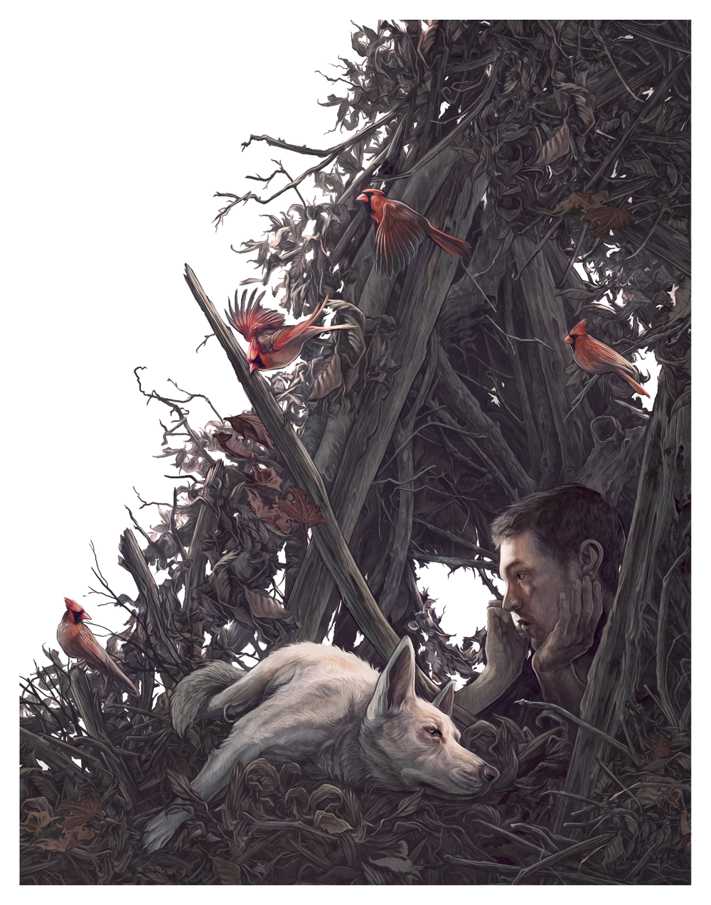 AJ Frena 'Ragged Wood' Print Available