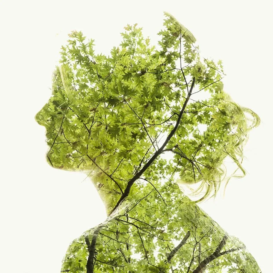 Christoffer Relander 'Summer Green' Print Release Details