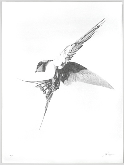 Von 'Flight 06' Print Pre-Sale Available