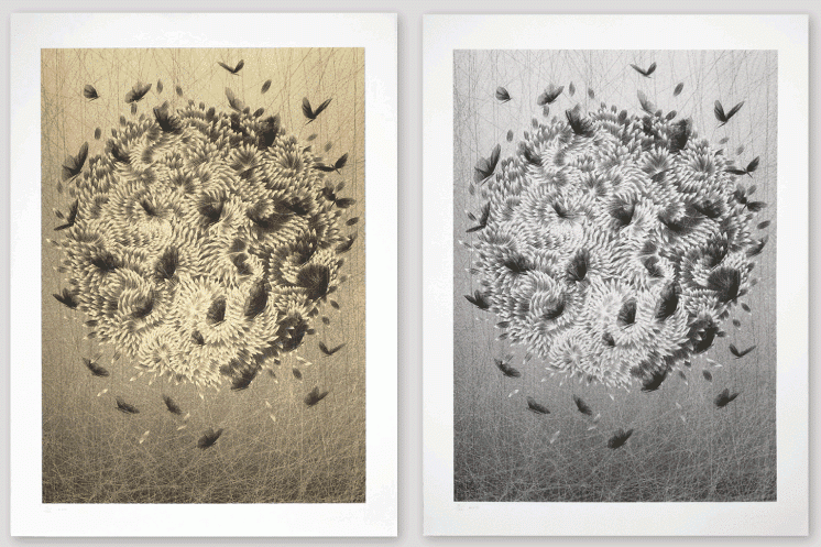 Kai And Sunny 'Black Angels' A/P's Available