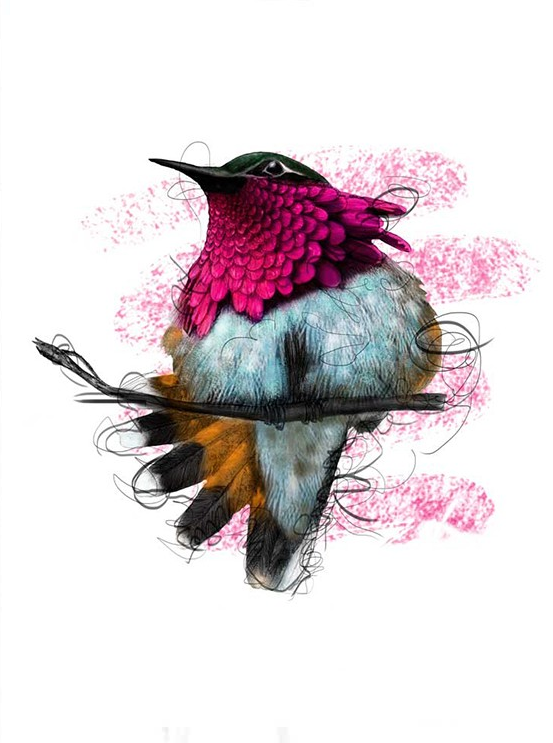 Mia Valgren BEAUTIFUL 'Hummingbird' Print Available