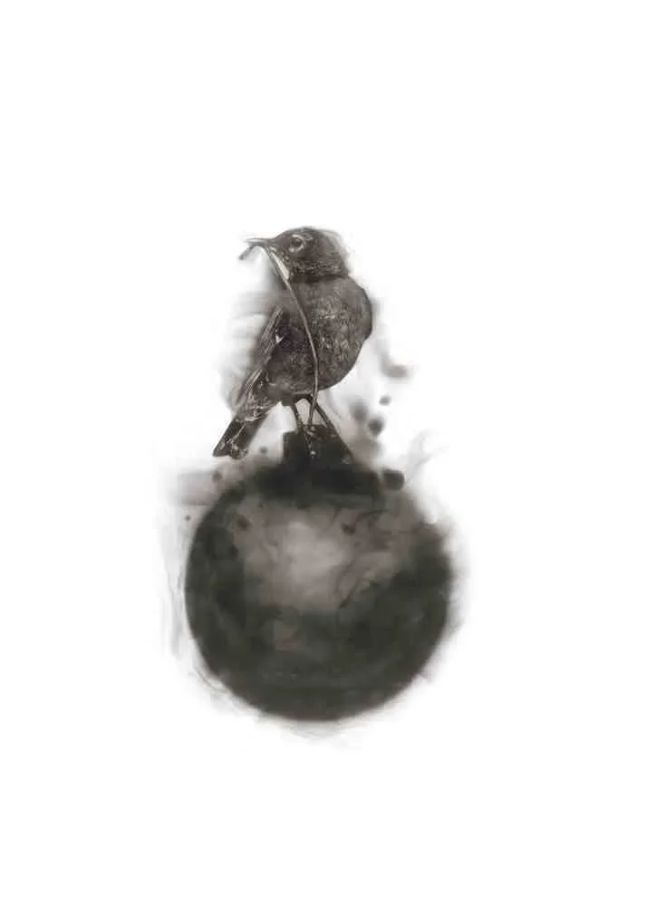 Spazuk 'Deactivator' HPM Print Available