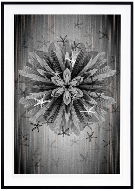 Kai And Sunny 'Star Flower' Print Available