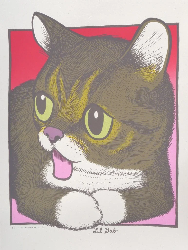 Jay Ryan 'Lil Bub' (In Pink) Print Available